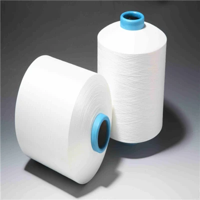 Thermoplastic Yarn